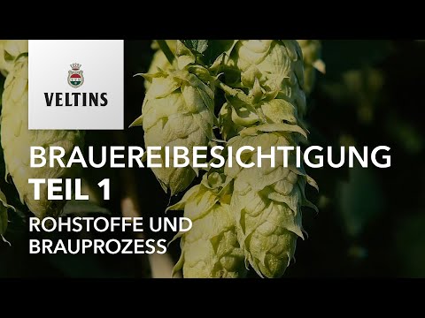 VELTINS Brauereibesichtigung Teil 1 – Rohstoffe und Brauprozess